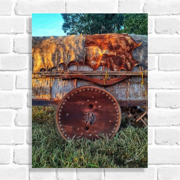 Quadro Decorativo Carro de Boi 1 (Coleção Originais do Brasil)