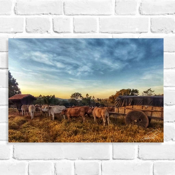 Quadro Decorativo Carro de Boi (Coleção Originais do Brasil)