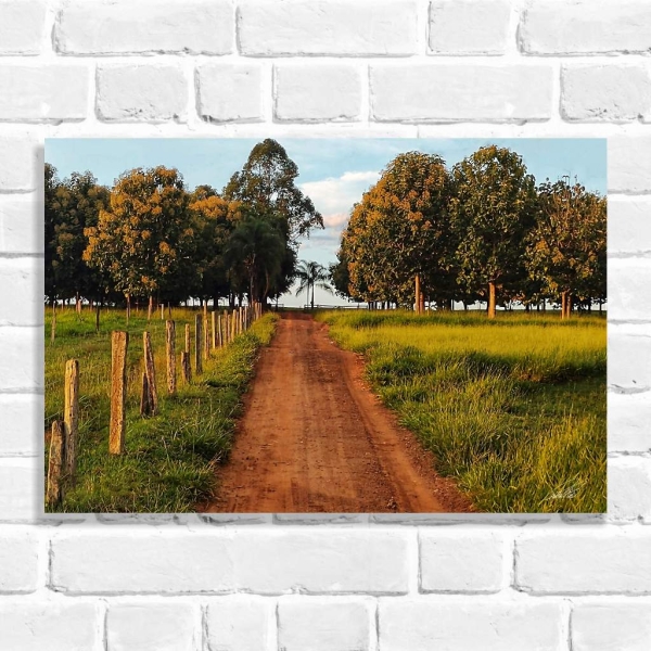 Quadro Decorativo Estrada de Fazendas (Coleção Originais do Brasil)