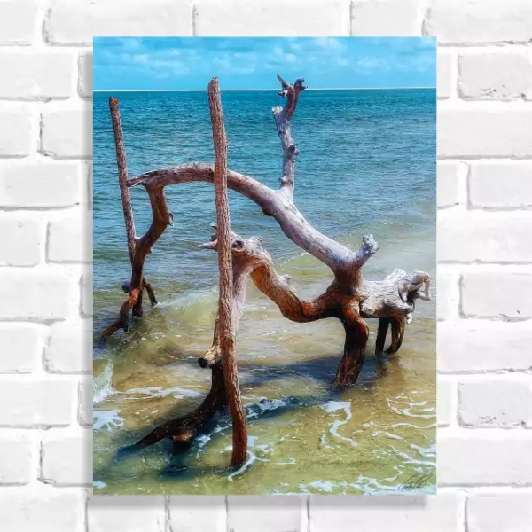 Quadro Decorativo Galho Seco na Praia (Coleção Originais do Brasil)