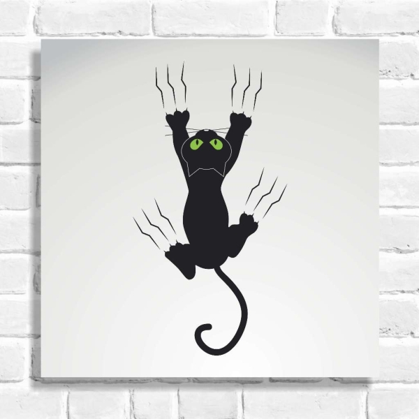 Quadro Decorativo Gato