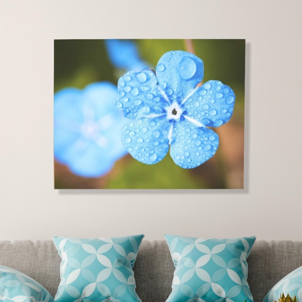 Quadro Decorativo Flor Azul