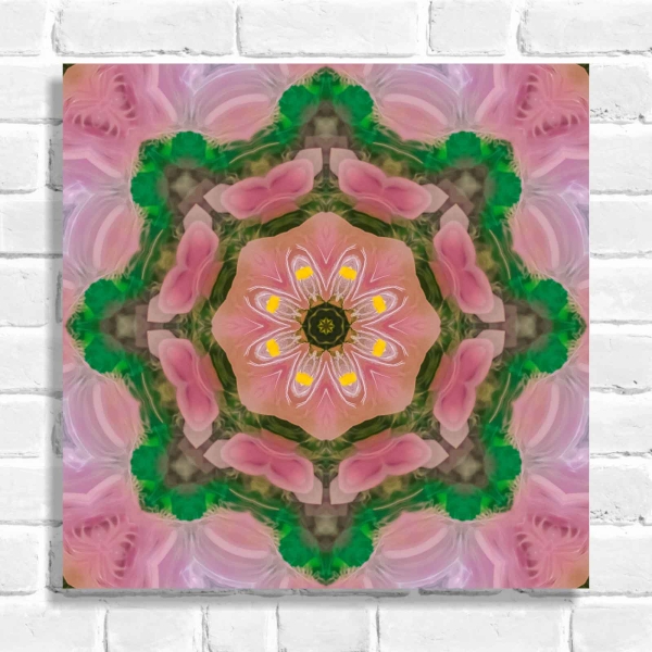 Quadro Decorativo Mandala