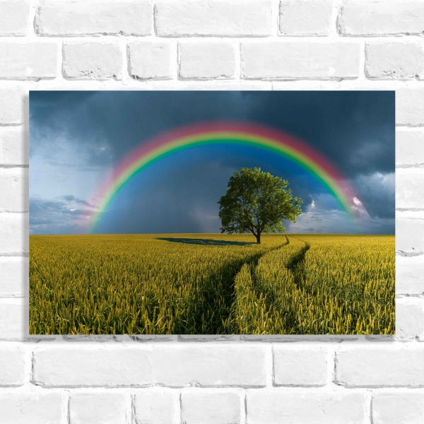 Quadro Decorativo Árvore com arco-íris