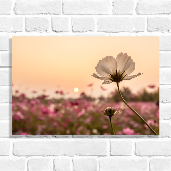 Quadro Decorativo Campo de Flores 02