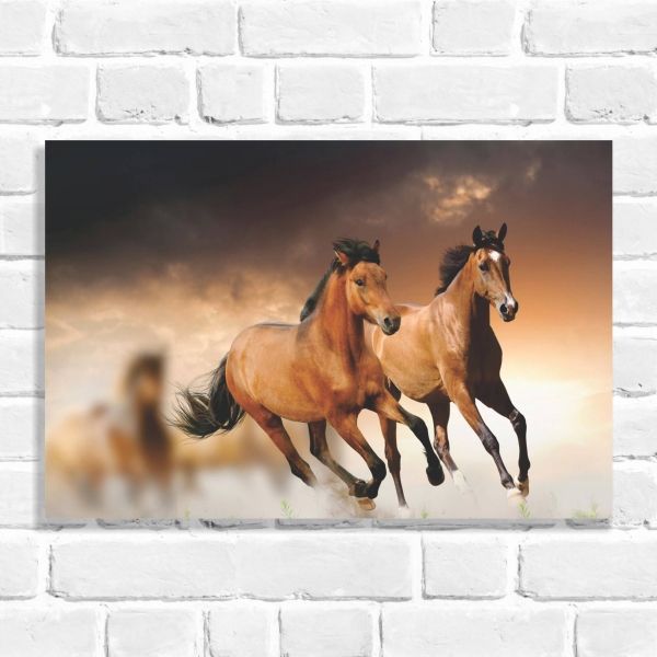 Quadro Decorativo Cavalos 03