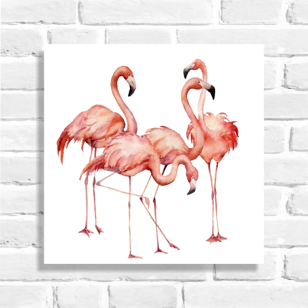 Quadro decorativo Flamingos