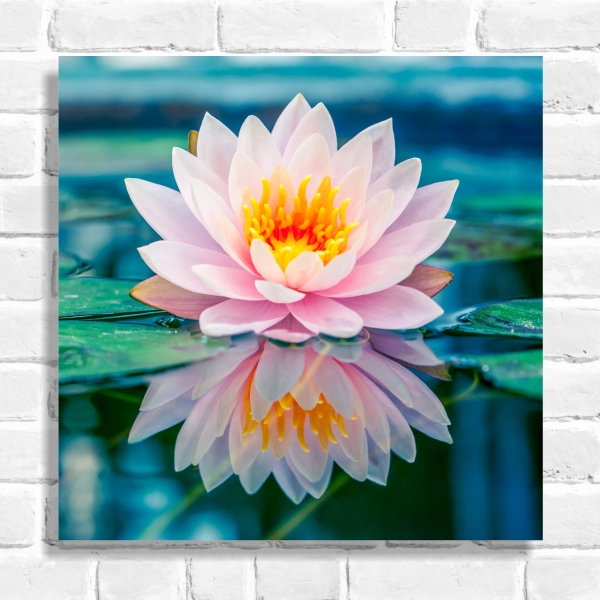 Quadro Decorativo Flor de Lótus