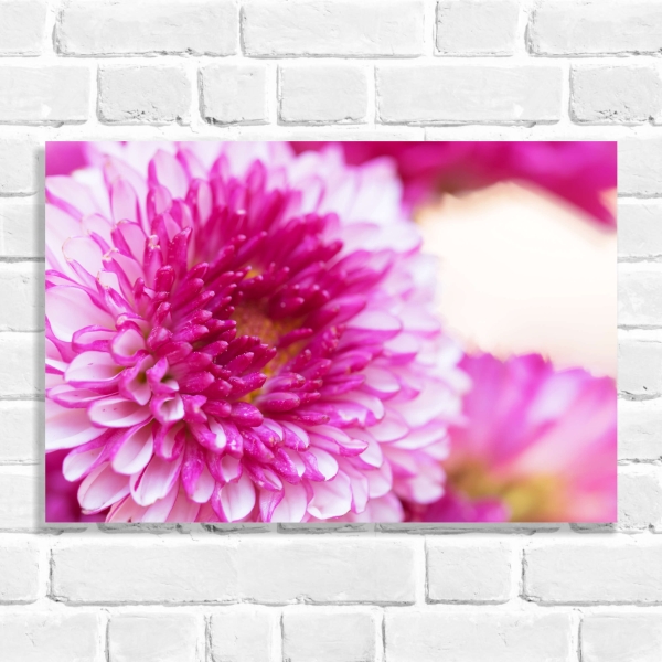 Quadro Decorativo Flor