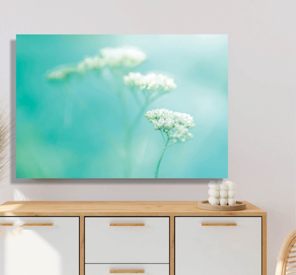 Quadro Decorativo Flores Brancas