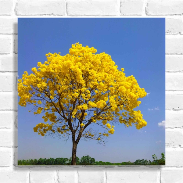 Quadro Decorativo Ipê Amarelo