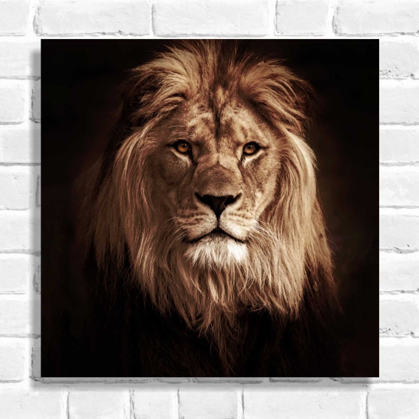 Quadro Decorativo Leão de Judá