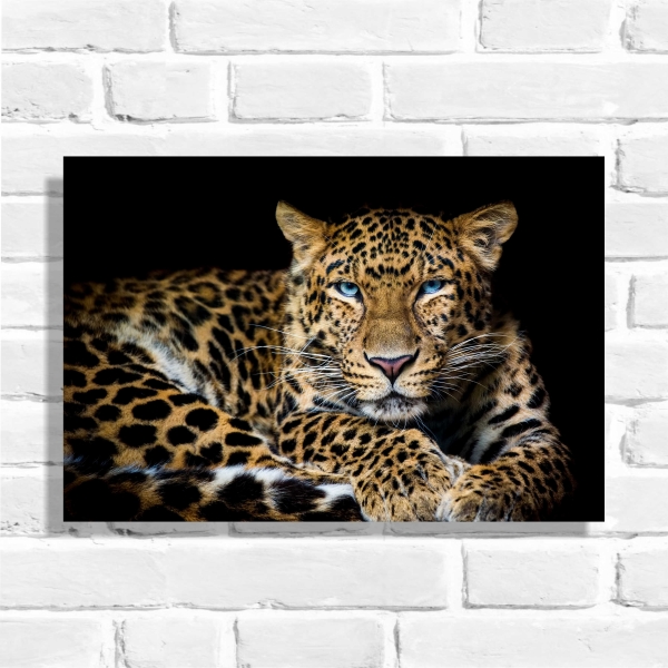 Quadro Decorativo Leopardo