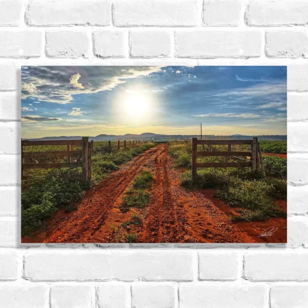 Quadro Decorativo Estrada com Porteira (Coleção Originais do Brasil)