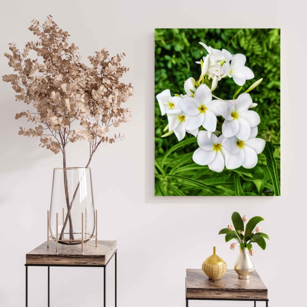 Quadro Decorativo Flor Gardênia (Coleção Originais do Brasil)