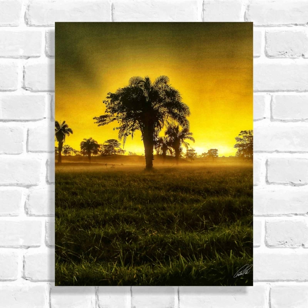 Quadro Decorativo Anoitecer no Cerrado (Coleção Originais do Brasil)