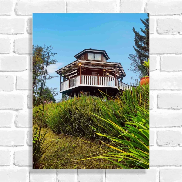 Quadro Decorativo Casa no Campo (Coleção Originais do Brasil)