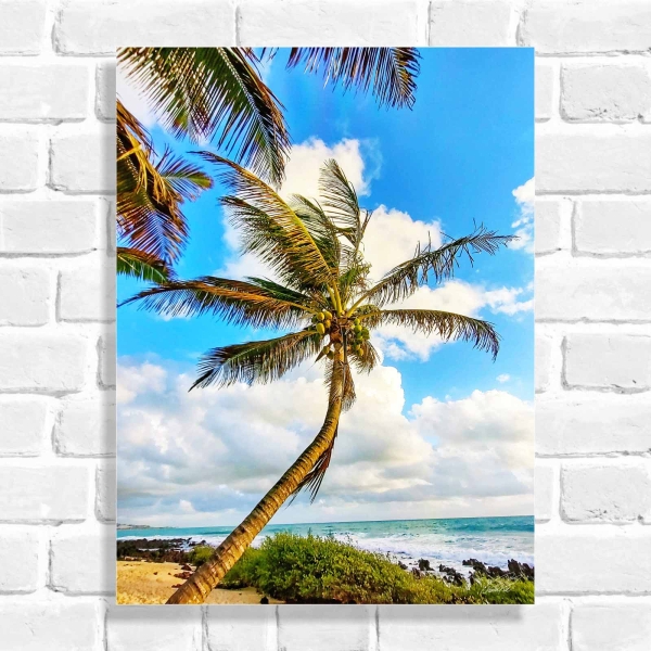 Quadro Decorativo Coqueiro (Coleção Originais do Brasil)