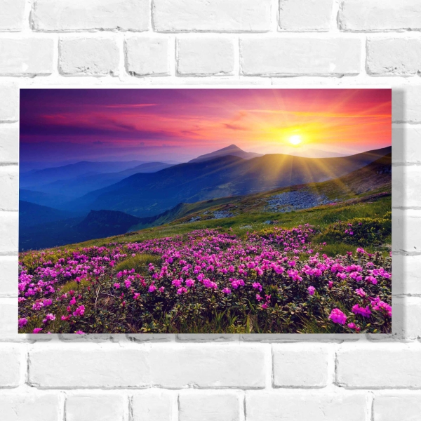Quadro Decorativo Paisagem Flores ao Pôr do Sol