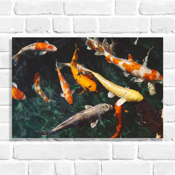 Quadro Decorativo Peixes