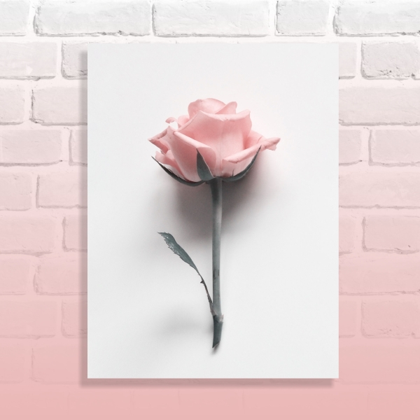 Quadro Decorativo Rosa