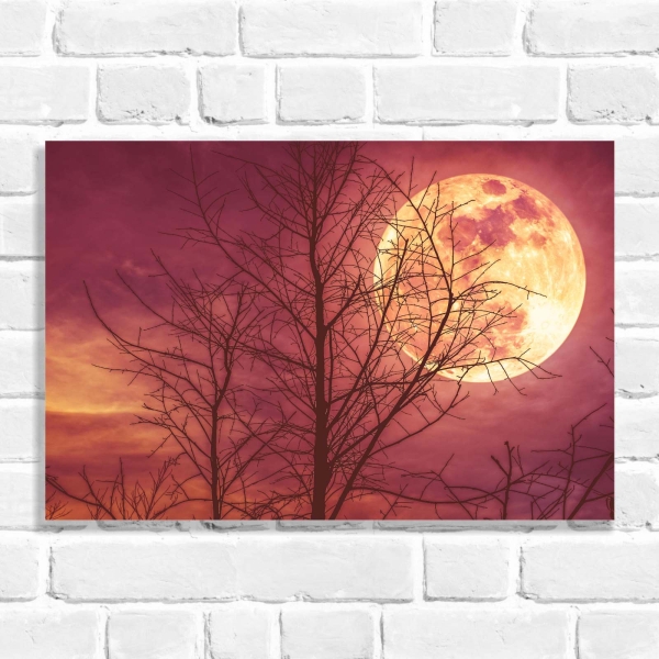 Quadro Decorativo Super Lua