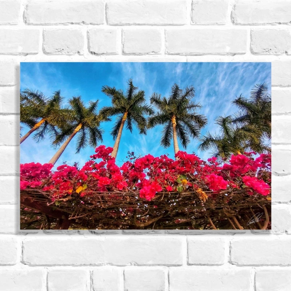 Quadro Decorativo Flores Buganvile (Coleção Originais do Brasil)