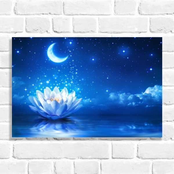 Quadro Decorativo Flor de Lótus