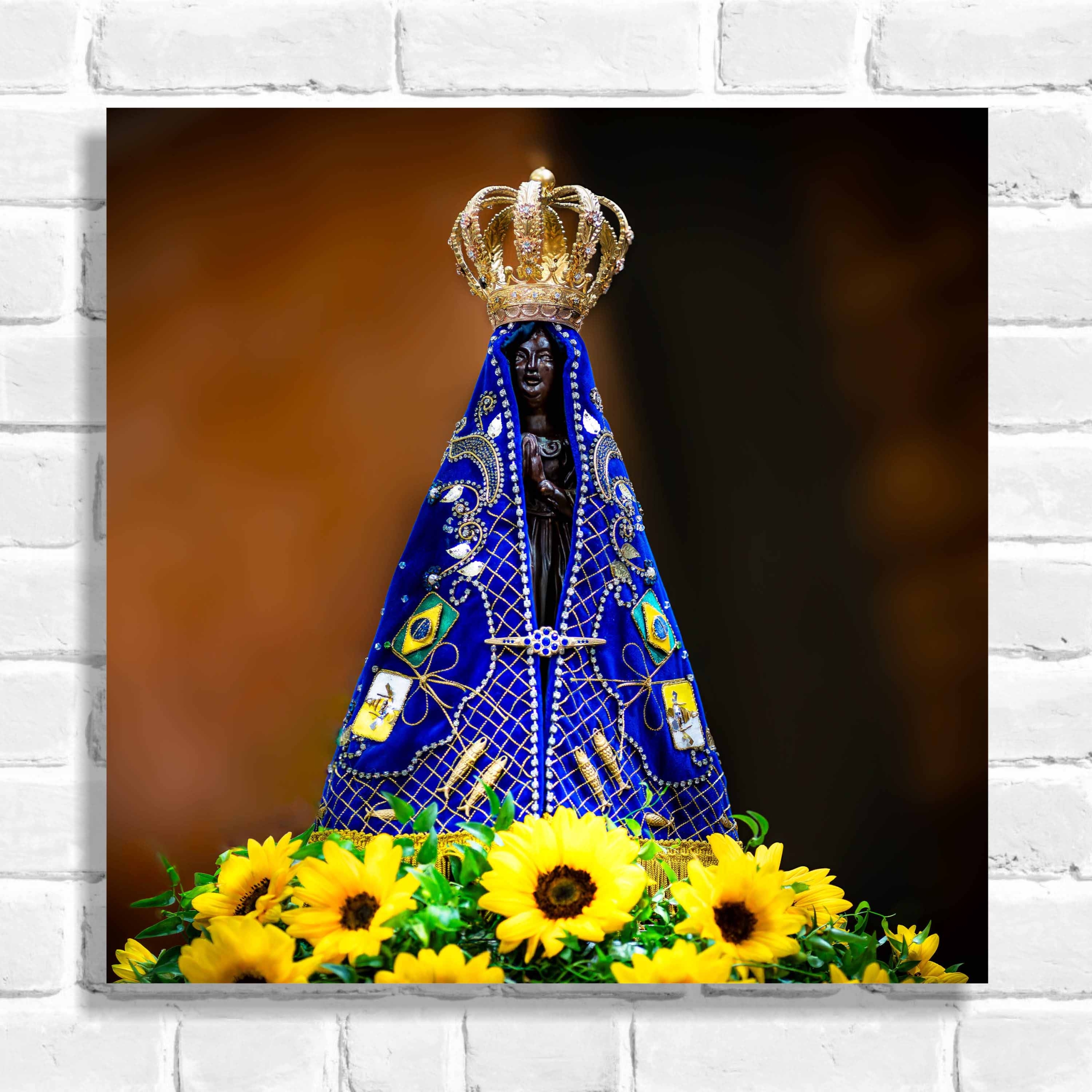 Quadro Decorativo Imagem NS Aparecida